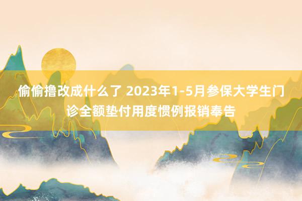偷偷撸改成什么了 2023年1-5月参保大学生门诊全额垫付用度惯例报销奉告