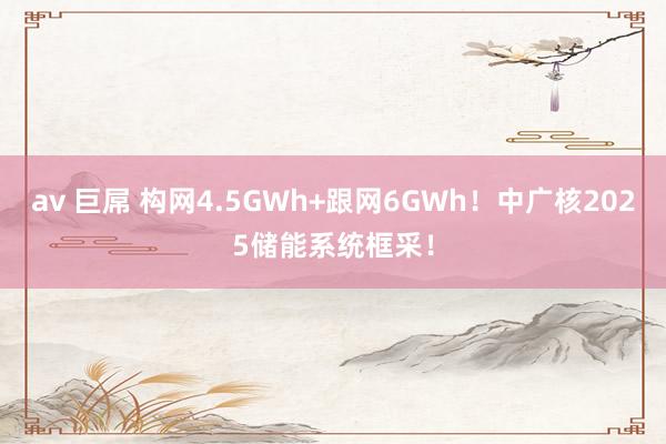 av 巨屌 构网4.5GWh+跟网6GWh！中广核2025储能系统框采！