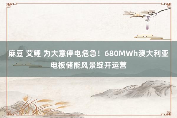 麻豆 艾鲤 为大意停电危急！680MWh澳大利亚电板储能风景绽开运营