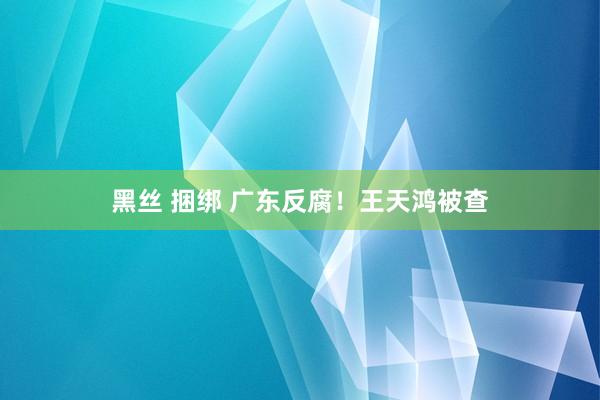 黑丝 捆绑 广东反腐！王天鸿被查