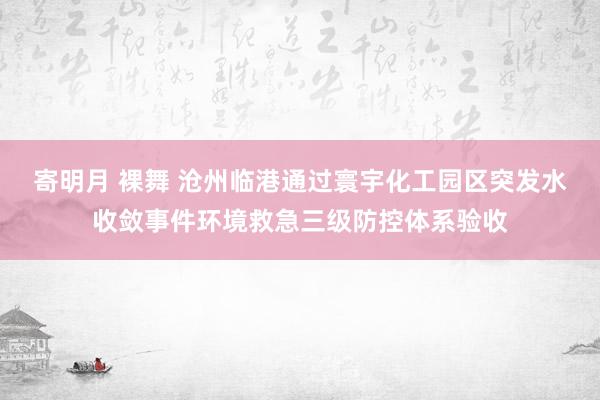 寄明月 裸舞 沧州临港通过寰宇化工园区突发水收敛事件环境救急三级防控体系验收