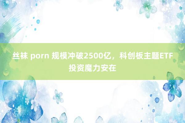 丝袜 porn 规模冲破2500亿，科创板主题ETF投资魔力安在
