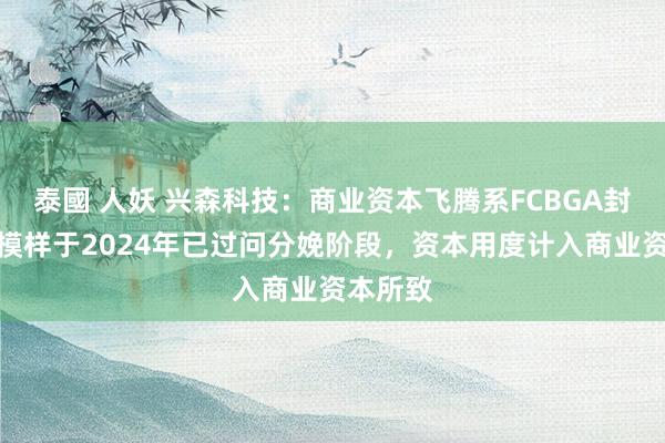 泰國 人妖 兴森科技：商业资本飞腾系FCBGA封装基板模样于2024年已过问分娩阶段，资本用度计入商业资本所致