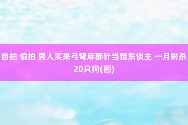 自拍 偷拍 男人买来弓弩麻醉针当猎东谈主 一月射杀20只狗(图)