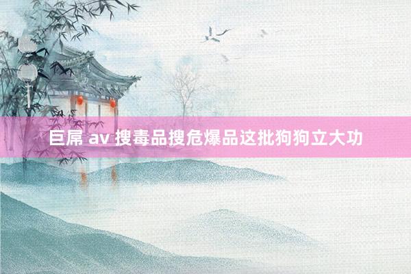 巨屌 av 搜毒品搜危爆品　这批狗狗立大功
