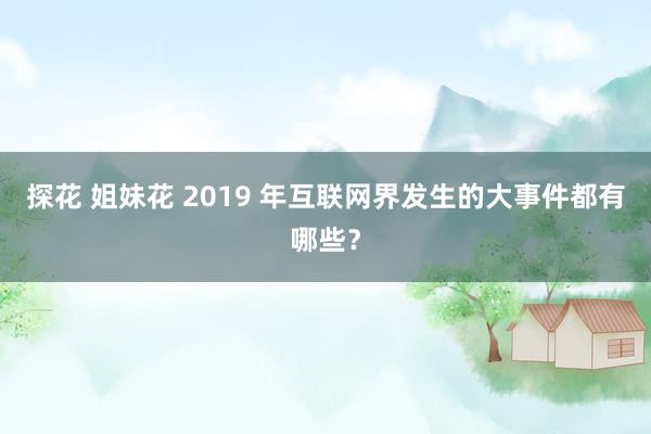 探花 姐妹花 2019 年互联网界发生的大事件都有哪些？