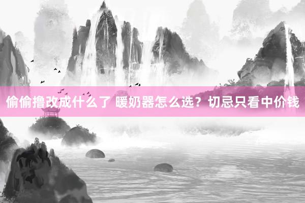 偷偷撸改成什么了 暖奶器怎么选？切忌只看中价钱