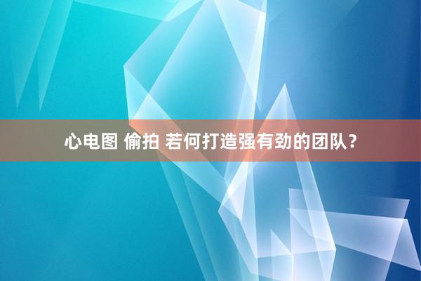 心电图 偷拍 若何打造强有劲的团队？