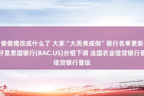 偷偷撸改成什么了 大家“大而弗成倒”银行名单更新：好意思国银行(BAC.US)分组下调 法国农业信贷银行晋级