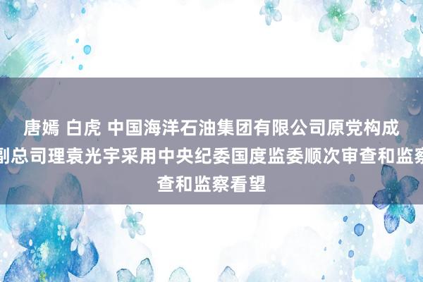 唐嫣 白虎 中国海洋石油集团有限公司原党构成员、副总司理袁光宇采用中央纪委国度监委顺次审查和监察看望