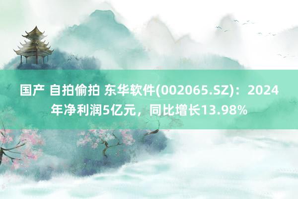 国产 自拍偷拍 东华软件(002065.SZ)：2024年净利润5亿元，同比增长13.98%