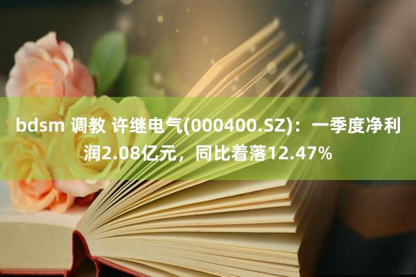bdsm 调教 许继电气(000400.SZ)：一季度净利润2.08亿元，同比着落12.47%